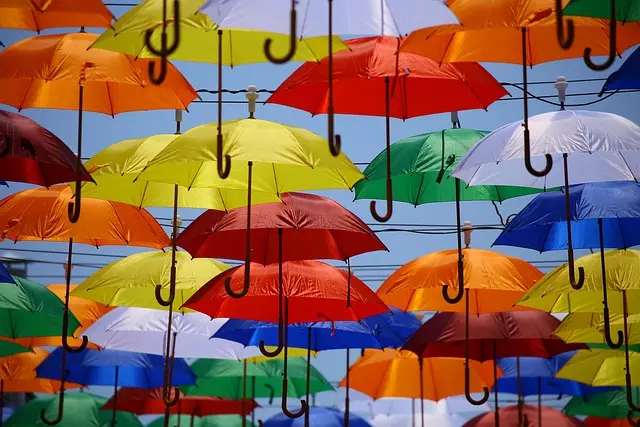 Guide d'achat : Parapluies à motifs pour tous les styles